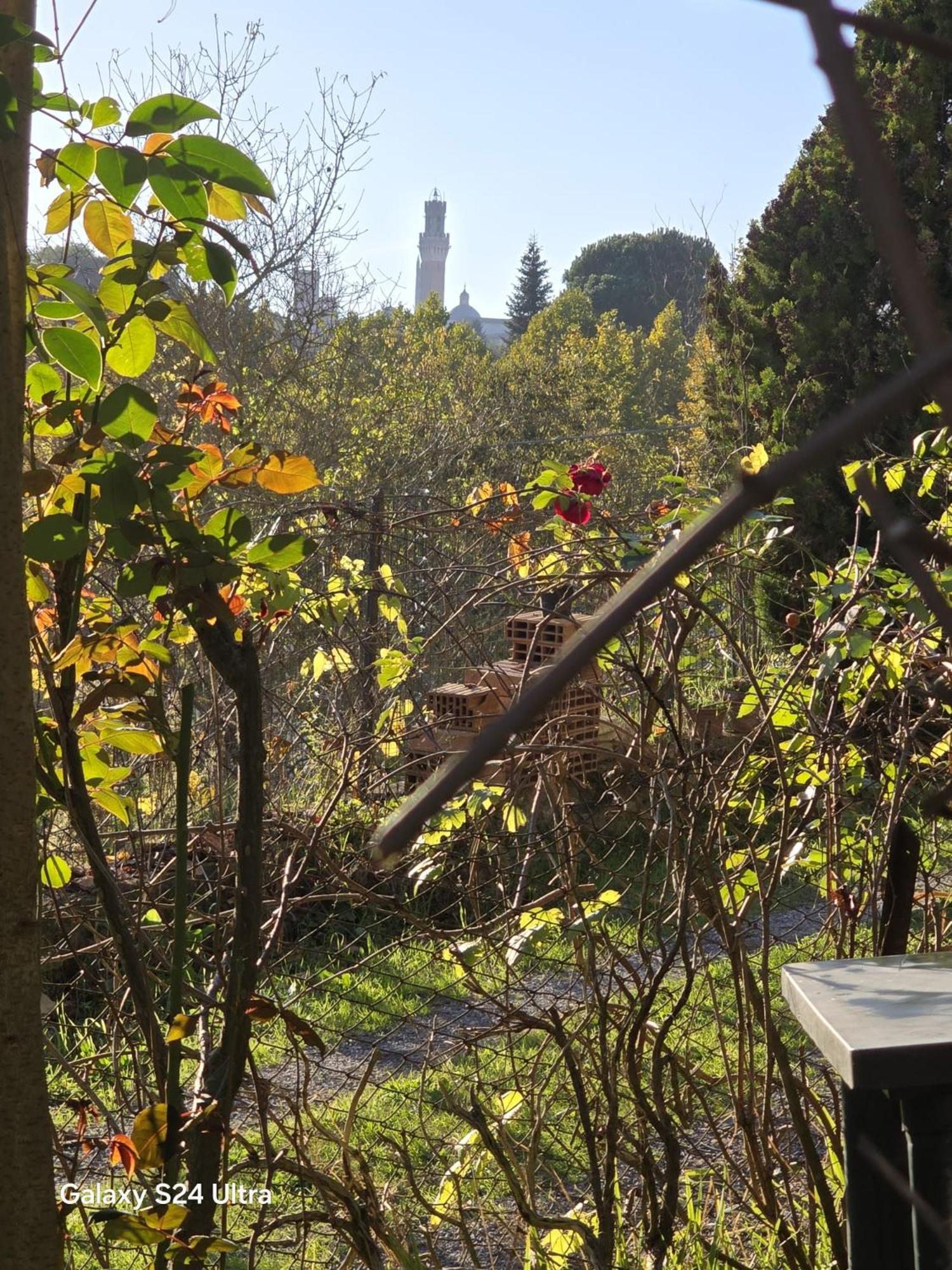 סיינה Podere Ponticini מראה חיצוני תמונה